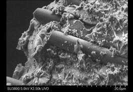 image.png ½¹µãÓéÀÖ-¿Æ¼¼¸³Äܳ¡¾°,ÈÃÓéÀÖ¸üÓÐȤ!