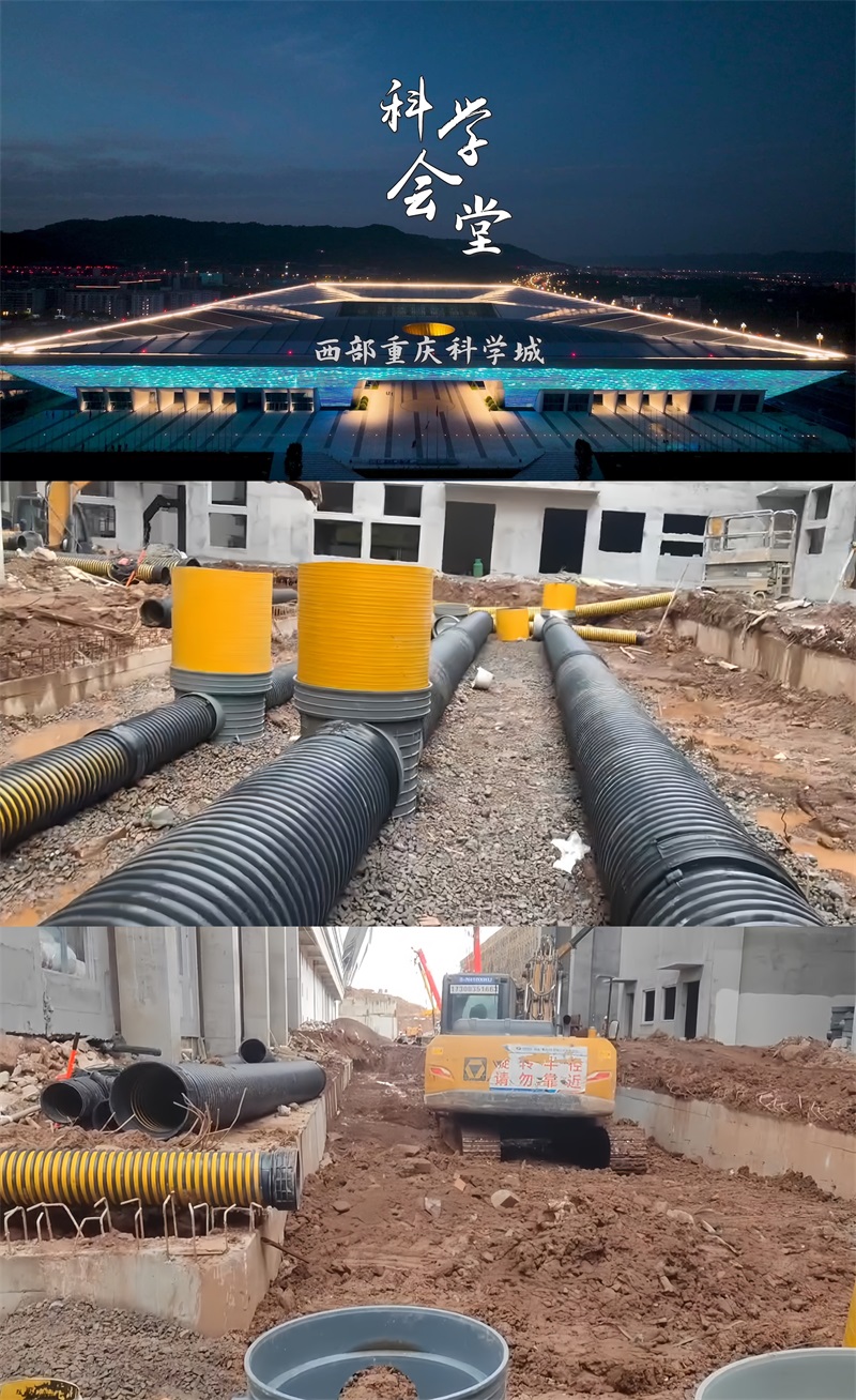 �����ѧ������Ŀ